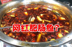 鱼老板网红,从网红到创业明星的蜕变之路